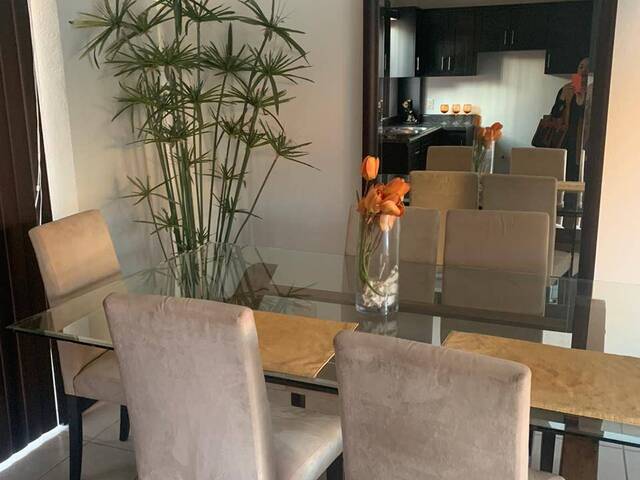#411 - Casa para Renta en Tijuana - BC