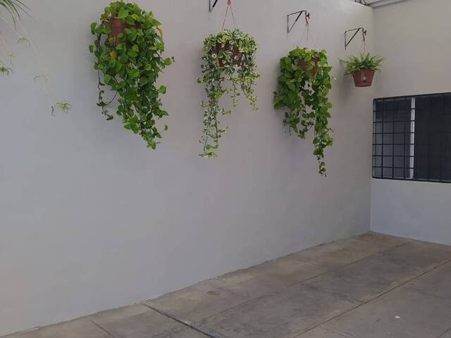 #543 - Casa para Renta en Tijuana - BC - 3