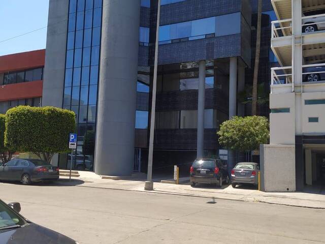 #668 - Oficina para Renta en Tijuana - BC - 1