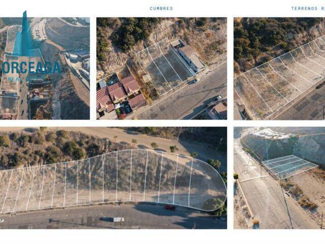 #709 - Área para Venta en Tijuana - BC - 3