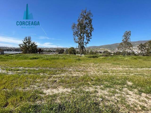 #867 - Área para Venta en Tijuana - BC - 3
