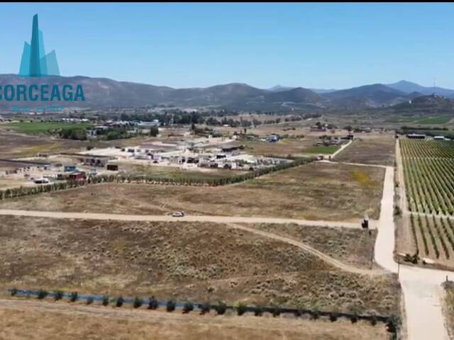 #1045 - Área para Venta en Ensenada - BC - 3