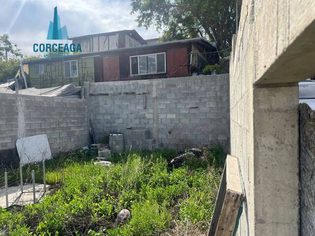 #1140 - Área para Venta en Tijuana - BC - 3