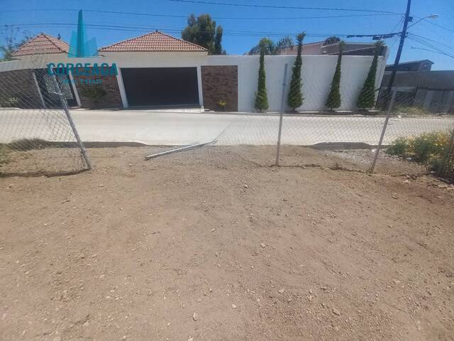  en  - 