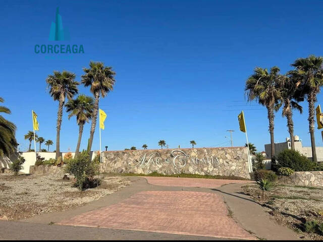 #1146 - Área para Venta en Tijuana - BC - 3