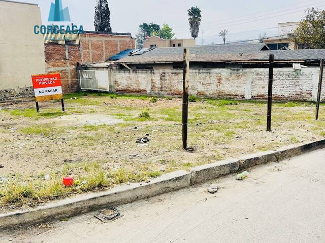 #1147 - Área para Renta en Tijuana - BC - 1