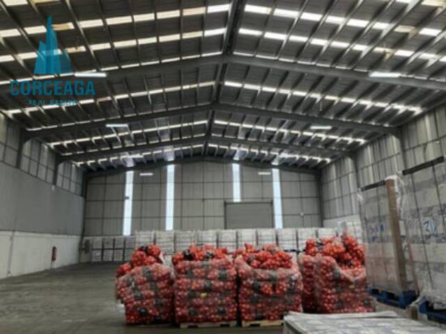 #1153 - NAVES INDUSTRIALES para Renta en Tijuana - BC - 3