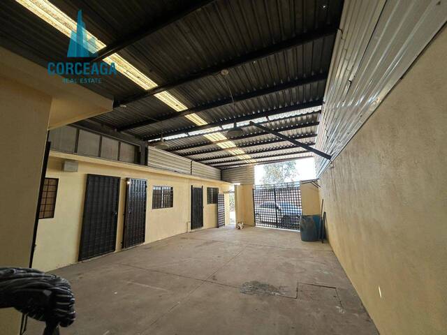 #1162 - Bodega para Renta en Tijuana - BC - 1